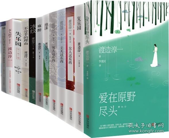 渡边淳一作品集 共12册 失乐园+复乐园+爱在原野尽头+女人这东西+男人这东西+丈夫这东西+飞往巴黎的末班机+女人的手等