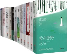 渡边淳一作品集 共12册 失乐园+复乐园+爱在原野尽头+女人这东西+男人这东西+丈夫这东西+飞往巴黎的末班机+女人的手等