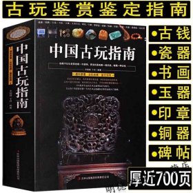 692页中国古玩指南通俗易懂瓷器铜器书画玉器文房四宝古玩收藏鉴定指南印章名石古玩鉴赏购买指南中国古钱图录古玩鉴定