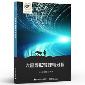 大图数据管理与分析 大图数据的基本概念介绍书 大图数据管理与分析知识 王宏志 编著 电子工业出版社