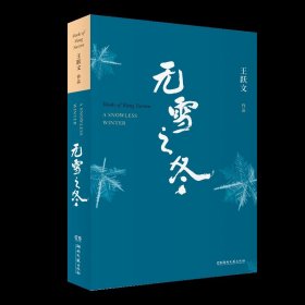 无雪之冬 王跃文 著 文学 官场 职场小说 湖南文艺出版社