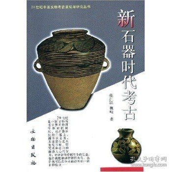 新石器时代考古：20世纪中国文物考古发现与研究丛书