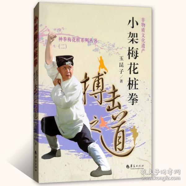 小架梅花桩拳 搏击之道之道 