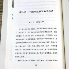 净土信仰 佛学小丛书净土思想奥义五经十要一论入净土之门圣贤录白话净土宗实用临终助念法修学体系辞典