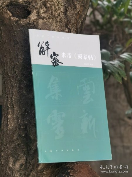 书法工作室丛书·解密米芾《蜀素帖》