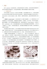 中西醫(yī)結(jié)合皮膚性病學(xué)（第十版/新世紀(jì)第三版/十三五/供中醫(yī)學(xué)、中西醫(yī)結(jié)合臨床等專業(yè)用）李斌 陳達(dá)燦主編