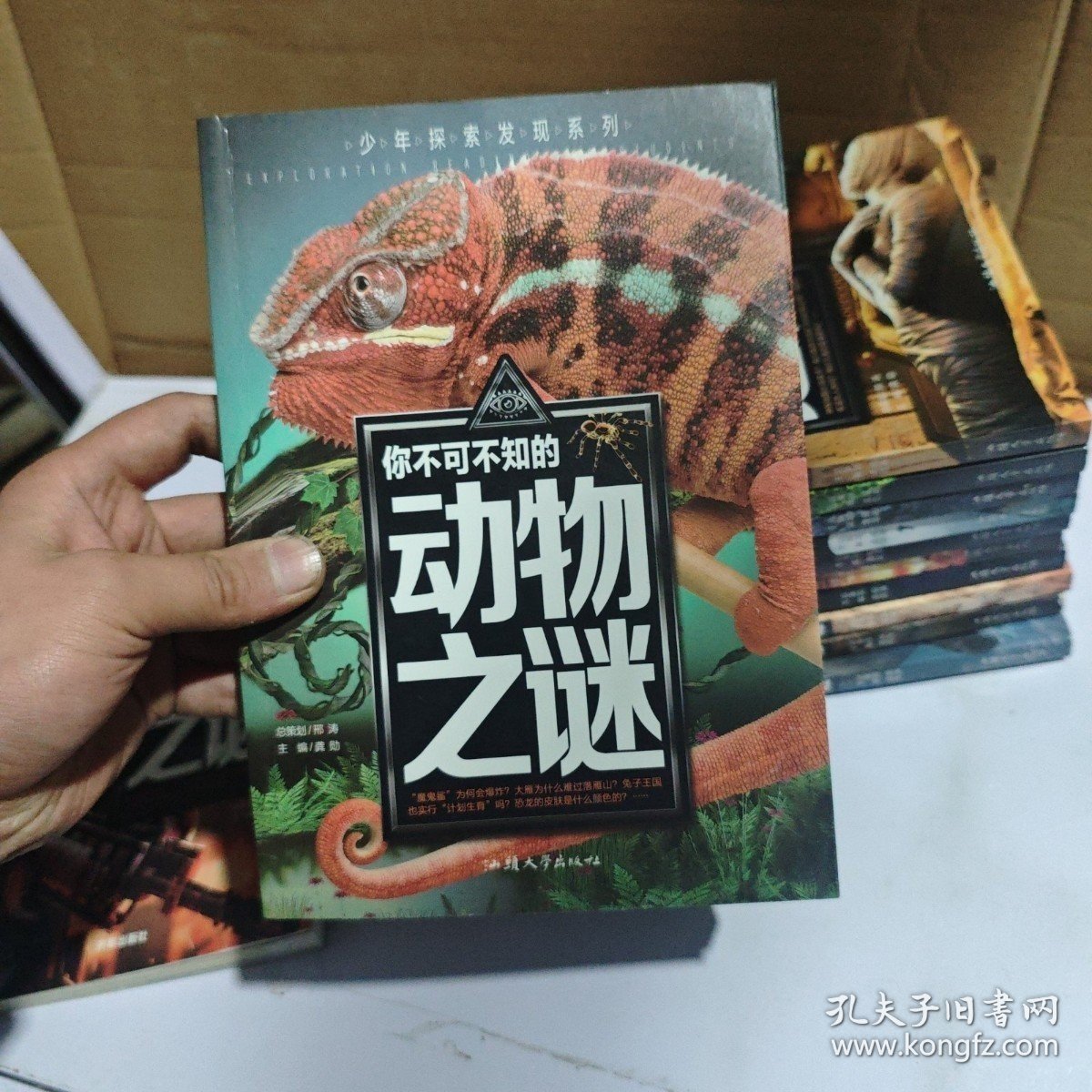 你不可不知的动物之谜 世界未解之谜 中小学生科普读物少儿百科三四五六年级课外阅读书 少年探索发现系列