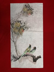 三尺整纸  花鸟画Y208-13