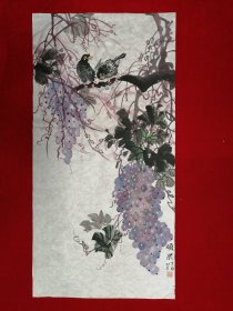 三尺整纸  花鸟画【硕果】Y176-31