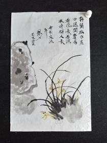 无款花鸟画.纯手绘.兰花