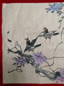 三尺整纸 花鸟画Y10-7