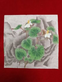 纯手绘 无章款 工笔花鸟画 Y115-42