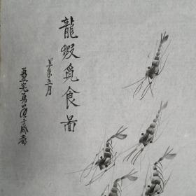 旧国画软片   四川画家  张老师   纯手绘 原稿原创 花鸟画真迹 画心软片 画心尺寸100*53厘米  Y142-20