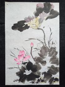 纯手绘、无款花鸟画、画心尺寸：68*44厘米Y109-08