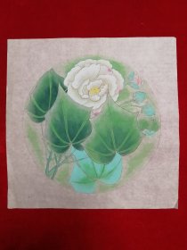 纯手绘 无章款 工笔花鸟画 Y56-35