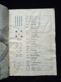 青年咨询创刊号