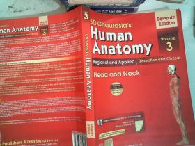 Human Anatomy 3