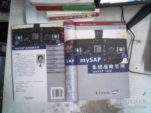 mySAP集团战略管理