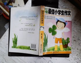 2007中国最佳小学生作文