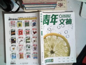 青年文摘 夏季卷 2009 4-6上/下 合订本