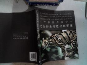 广东重点保护——陆生野生脊椎动物图鉴