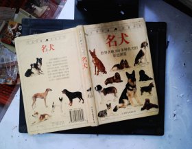 名犬：全世界300多种名犬的彩色图鉴