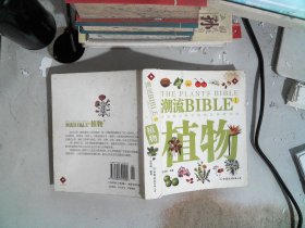 潮流BIBLE：魔力