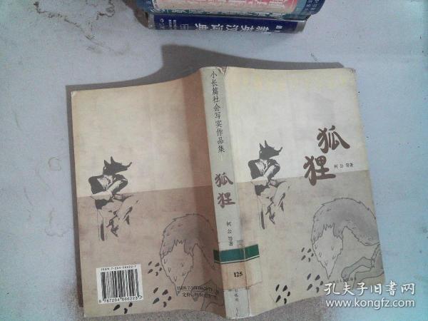 小长篇社会写实作品集：狐狸