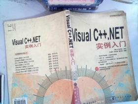 Visual/ C++,NET实例入门(1CD)