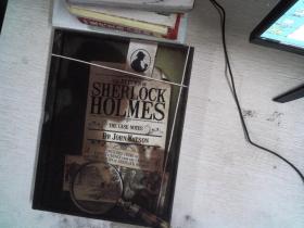 The Return of Sherlock Holmes : The Case Notes