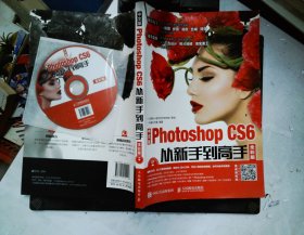 中文版Photoshop CS6从新手到高手 全彩版 附光盘