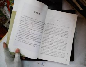 任宗权道长讲道系列（3）：道教科仪概览