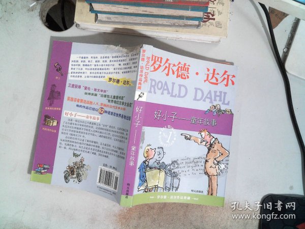 好小子-童年故事：罗尔德·达尔作品典藏