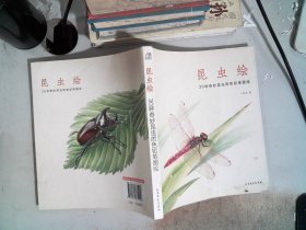 昆虫绘：30种奇妙昆虫的色铅笔图绘