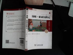 经典名著 大家名译：汤姆·索亚历险记（无障碍阅读 全译本 素质版）