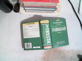 多功能成语词典（全新修订本）