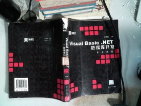 Visual Basic.NET数据库开发专业教程