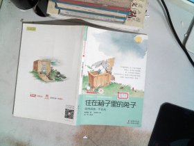 住在箱子里的兔子