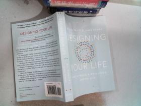 Designing Your Life  How to Build a Well-Lived Joyfui Life