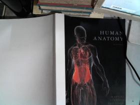 HUMAN ANATOMY