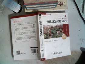 经典名著 大家名译：钢铁是怎样炼成的（无障碍阅读 全译本 素质版）