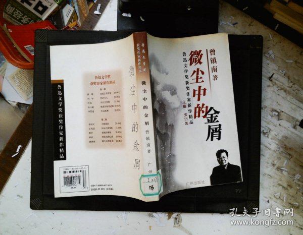 鲁迅文学奖获奖作家新作精品：微尘中的金屑