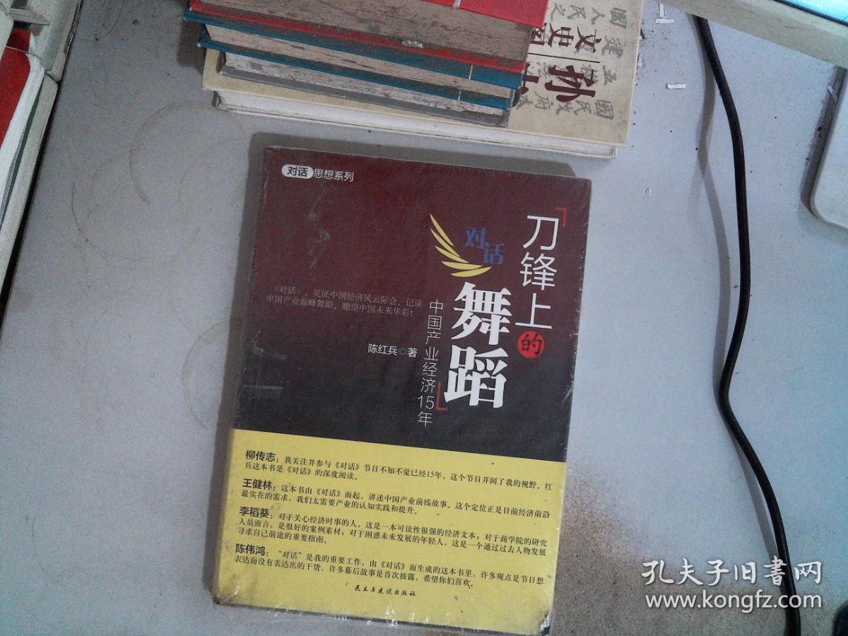 刀锋上的舞蹈：中国产业经济15年