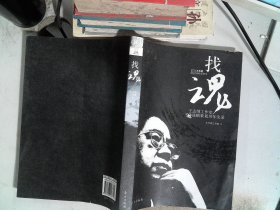 找魂：王志纲工作室战略策划10年实录