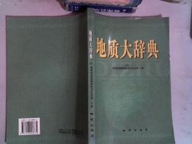 地质大辞典（五）地质普查勘探技术方法分册 下