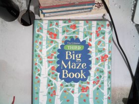 the usborne Third Big Maze Book