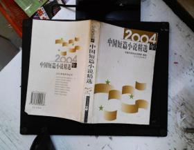 2004年中国短篇小说精选