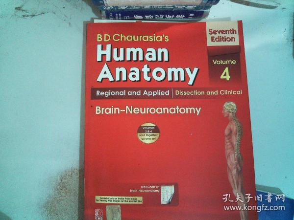 Human Anatomy 4