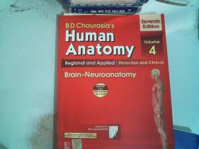 Human Anatomy 4