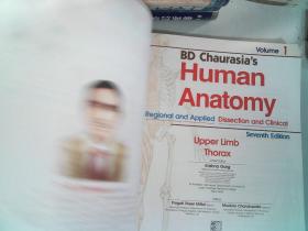 Human Anatomy 1